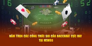 Công Thức Soi Cầu Baccarat Cực Hay Tại New88