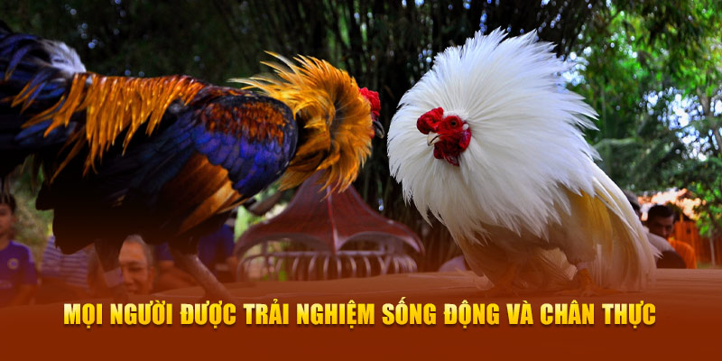 Mọi người được trải nghiệm sống động và chân thực Mọi người được trải nghiệm sống động và chân thực