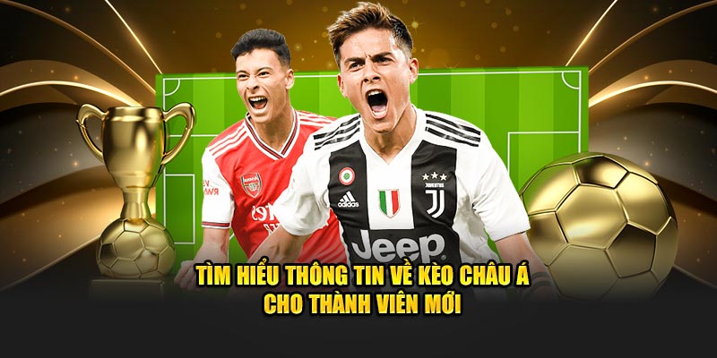 Đôi nét giới thiệu về loại hình cược châu Á cho người mới Đôi nét giới thiệu về loại hình cược châu Á cho người mới